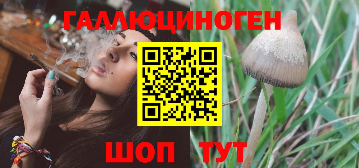 наркошоп  Вход с VPN  Лыткарино  Псилоцибиновые грибы MAGIC MUSHROOMS 